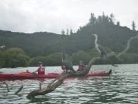 Photos from Wed 29th Jan 2020